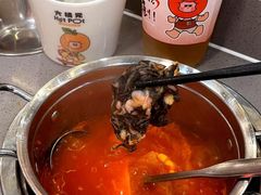 -大橘元自助回转火锅(天河新天地店)