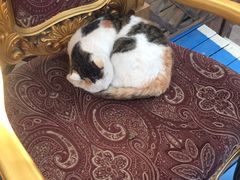 -万源龙顺度假庄园生态观光园