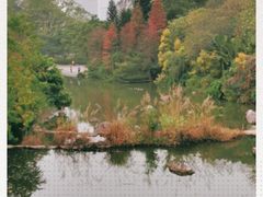 -云溪植物园