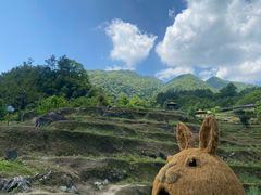 -石台牯牛降景区