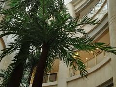 android_upload_pic-中共上海市委党校 上海行政学院