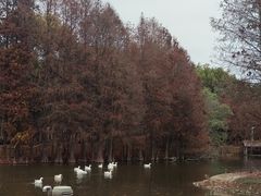 -厦门园林博览苑