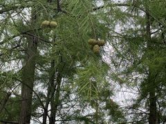 -梁鸿国家湿地公园