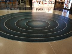 -达拉斯 沃斯堡国际机场