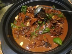 野生甲鱼-茶叁酒肆·楚味江湖(菱角湖店)
