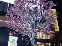 -东莞松山湖万象汇