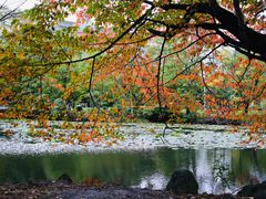 -北海道厅旧本厅舍(旧本庁舎)