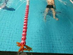 -BK博·康健身(金地格林小镇店)