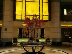 -惠州康帝国际酒店