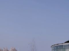 -西安浐灞国家湿地公园