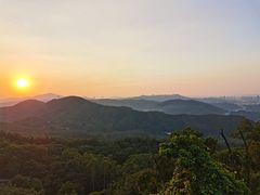 -黄埔油麻山森林公园