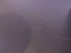 -海鲜街菜馆(海珠南路店)