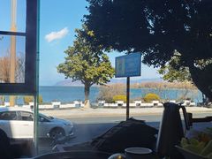-野菌皇海景野生菌火锅(滨海大道店)