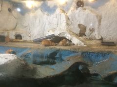 -秦皇岛新澳海底世界