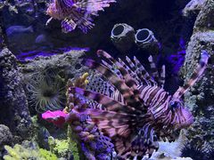 -太平洋海底世界