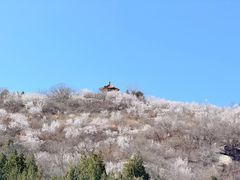 -白水寺森林公园