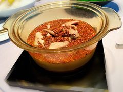 -子福慧(虹桥店)