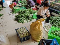 -山菌美食苑(振兴路店)