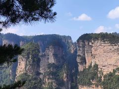 -印象鲵宴·张家界地标美食名片(溪布街店)