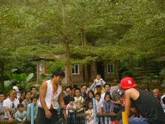 -田野绿世界