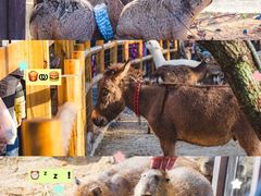 -茅山东方盐湖城景区