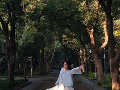 -东湖落雁景区