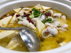 -蜀腾川·火锅鱼.烤鱼(新世界城店)