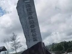 -汤旺河林海奇石景区