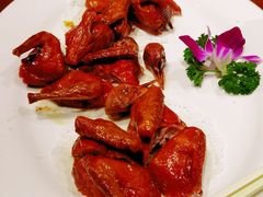 妙龄乳鸽-香山家宴