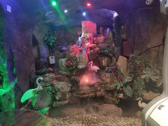 -醉小酒馆·川菜·江湖菜·重庆菜(观音桥旗舰店)