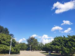 -旅顺留声机博物馆