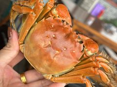 -渔娘蟹庄(阳澄湖莲花岛店)