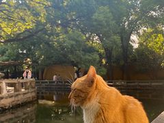 -西园戒幢律寺