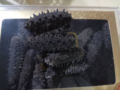 -宫品海参专卖店(黄浦老西门店)