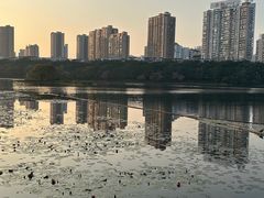 -南宁南湖公园