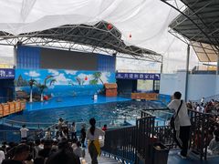 -石林冰雪海洋世界