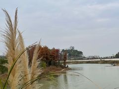 -梁子岛生态旅游区