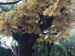 -横店影视城梦幻谷园区