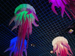 -太平洋海底世界