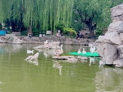 -团结湖公园