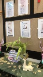 -黎蓓露·徒手骨雕蛋白抗衰·调肤管理