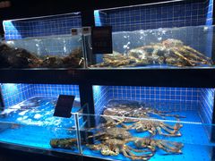 水产区-徐记海鲜(汉城湖|太奥店)