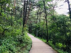 -帽儿山国家森林公园