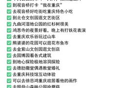 -龙湖重庆时代天街