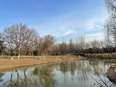 -西安浐灞国家湿地公园