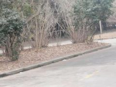 -胜华驾校·小猫学车(银都店)