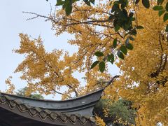-伯先公园