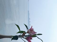 -柳莺湖上·湖景餐厅·江南菜(西湖店)