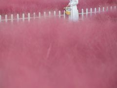 -嘉北郊野公园