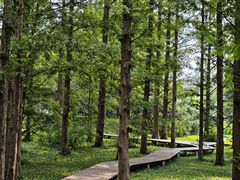 -国家植物园南园